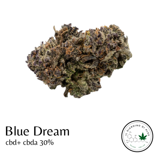 Cannabis light Blue Dream