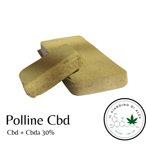 Hash Legale Polline cbd