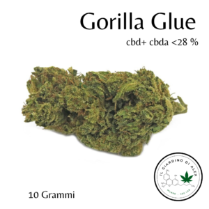 Cannabis Light Gorilla Glue - 50gr
