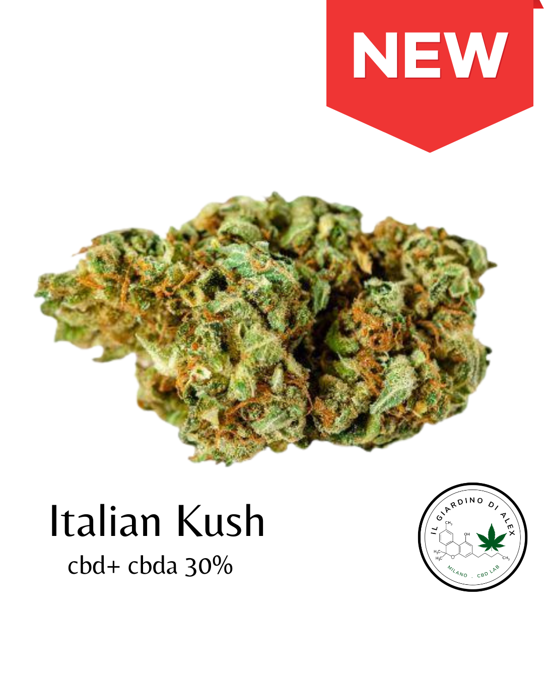 Italian Kush Cannabis Light