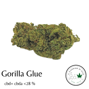 Cannabis Light Gorilla Glue