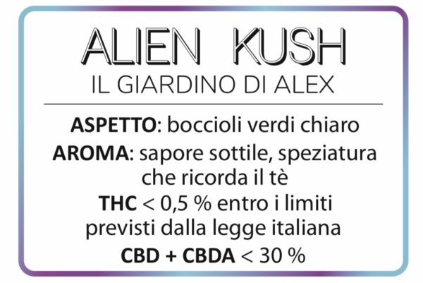 Cannabis Light Alien Kush - immagine 2