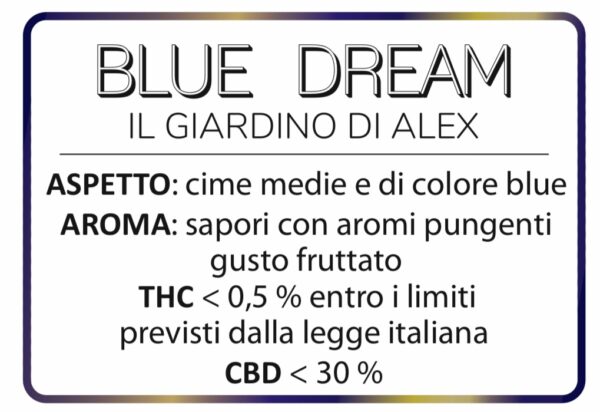 Cannabis Light Blue Dream - immagine 2