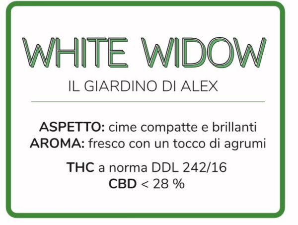 Cannabis Light White Widow - immagine 3