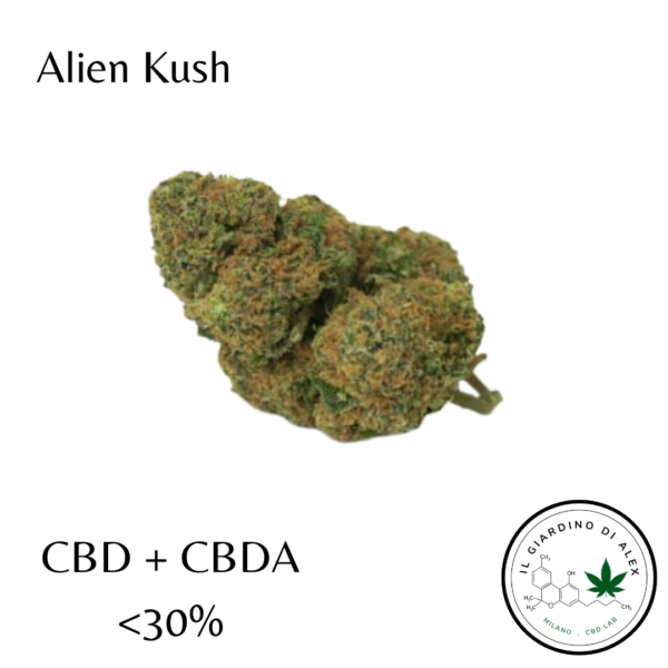 Cannabis Light Alien Kush
