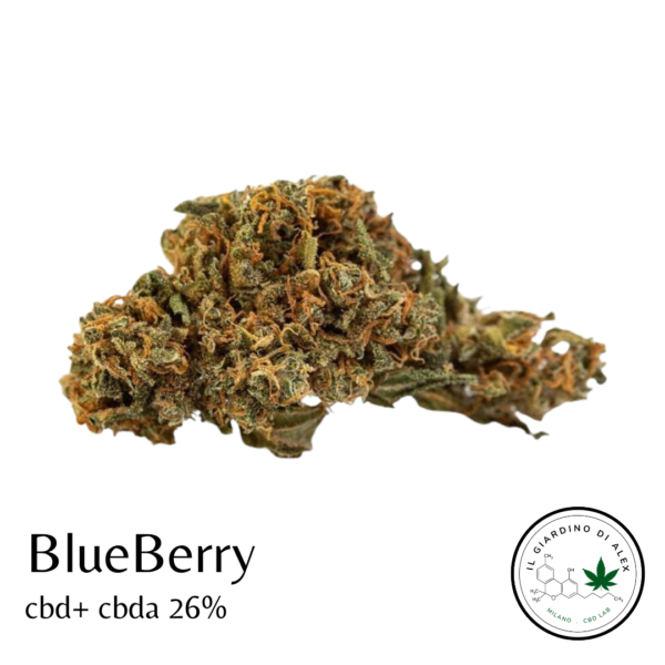 Cannabis Light BluBerry - immagine 2