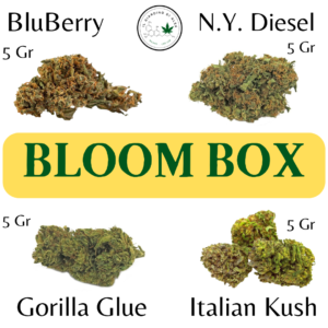 Bloom box da 20 grammi