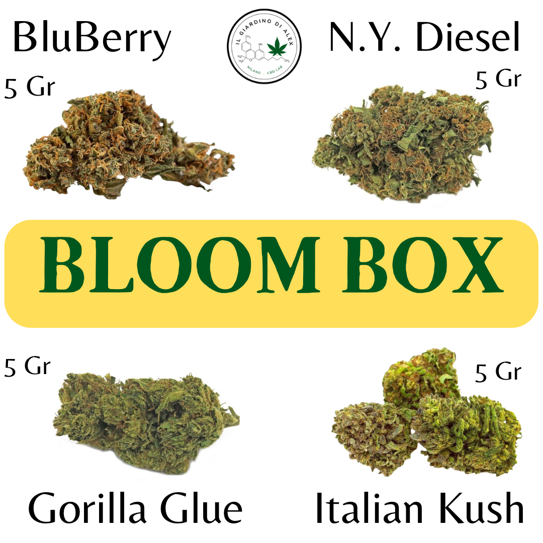 Bloom box da 20 grammi