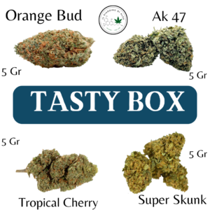 Tasty box cannabis light