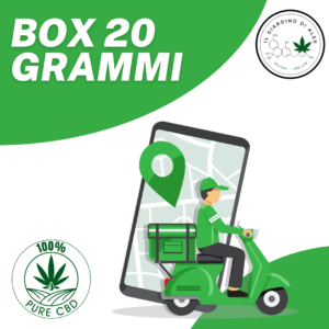 Box 20 grammi Cannabis Light