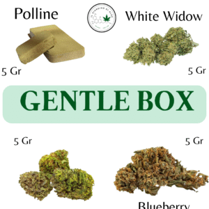 Gentle box cbd risparmio