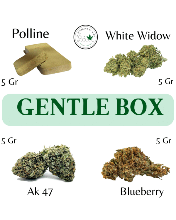 cannabis light cbd - Box