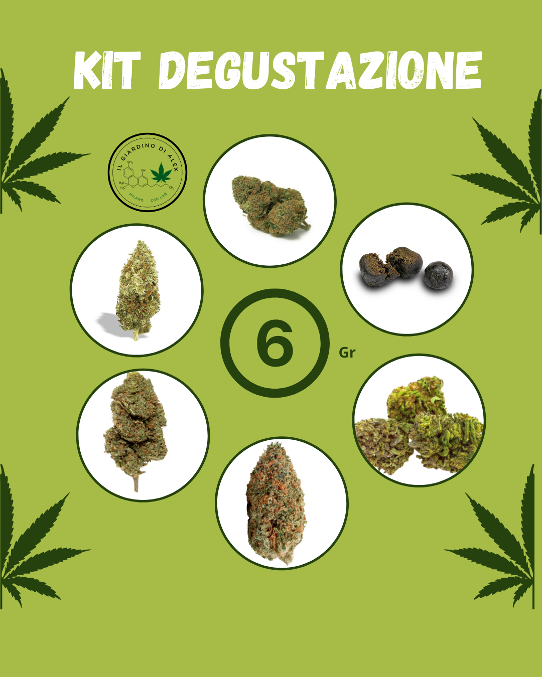 kit 6 grammi cannabis light