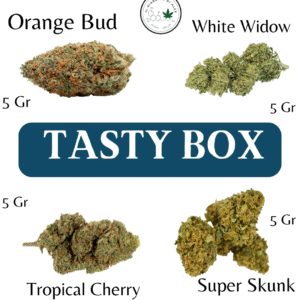 Tasty box da 20 grammi