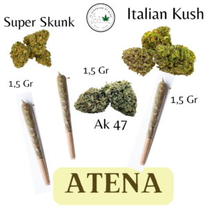 Box Pre roll - Atena