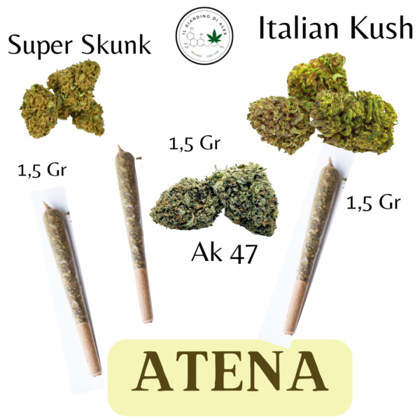 Box Pre roll - Atena