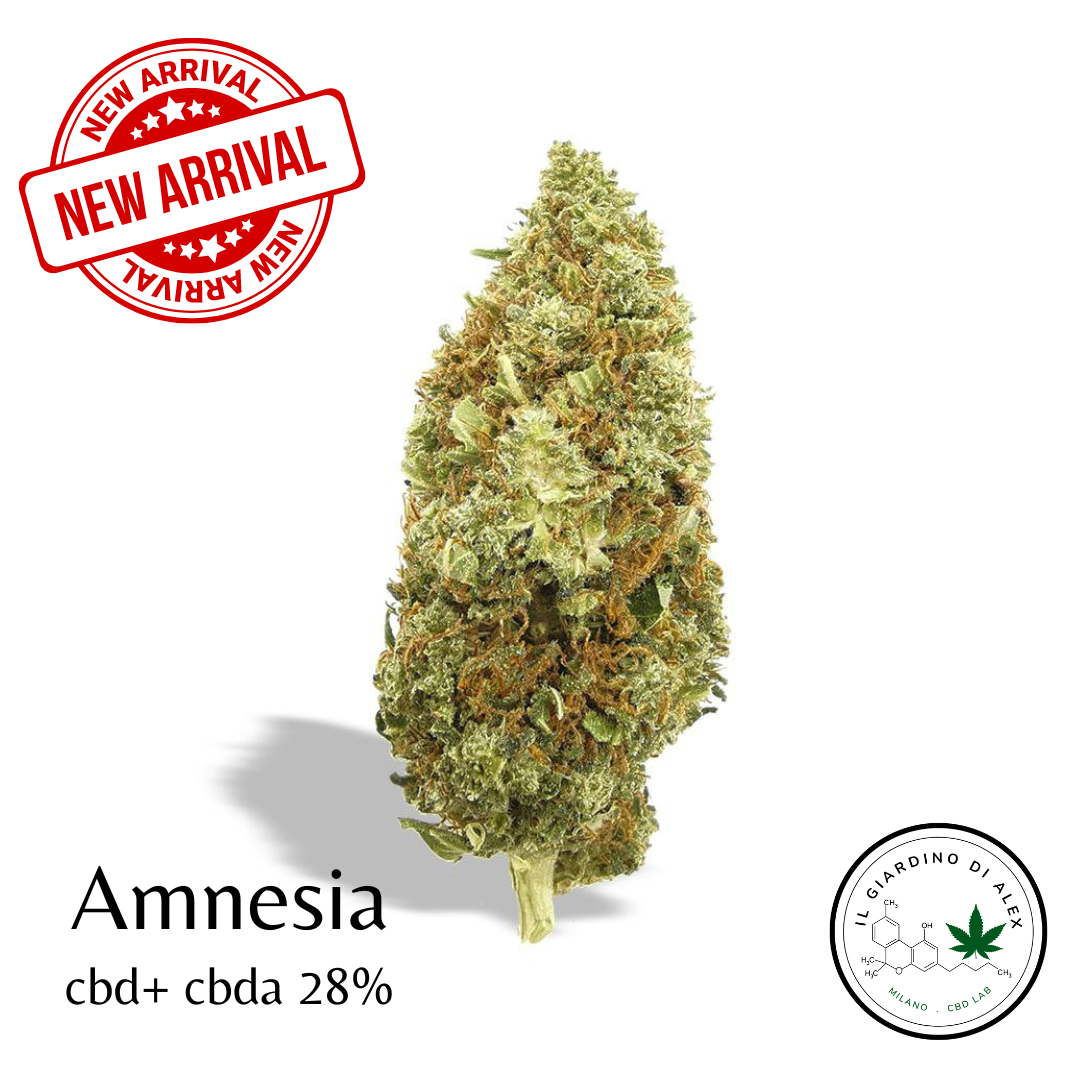 Kit degustazione 6 grammi - Cannabis Light - immagine 2