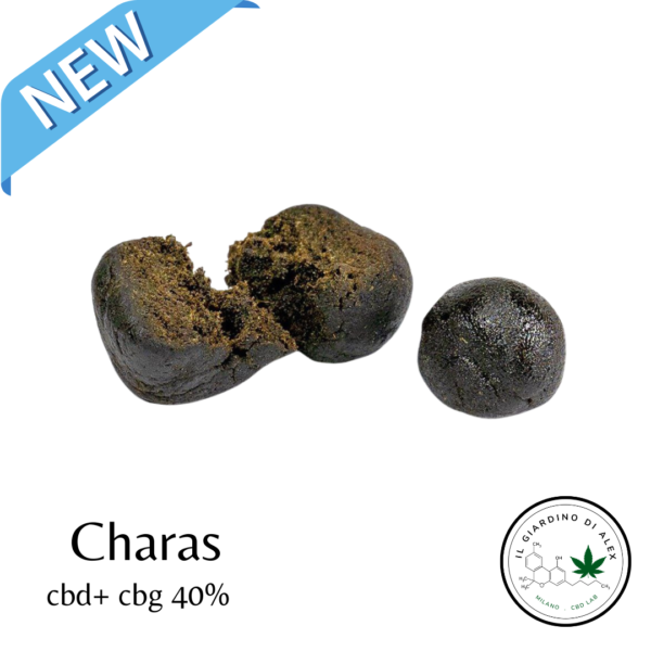 Hash Legale Charas Cbd