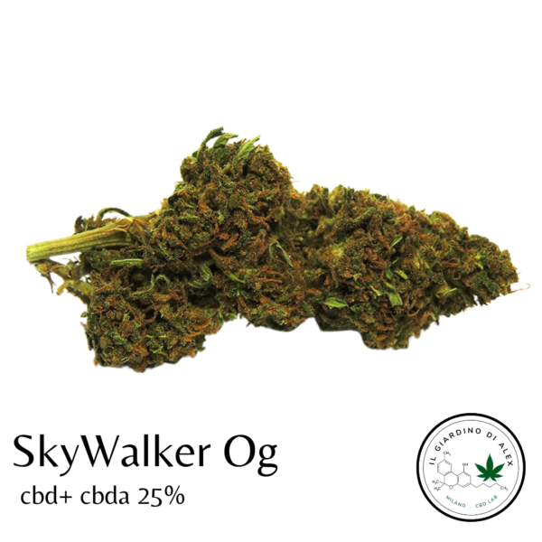 Cannabis Light SkyWalker Og