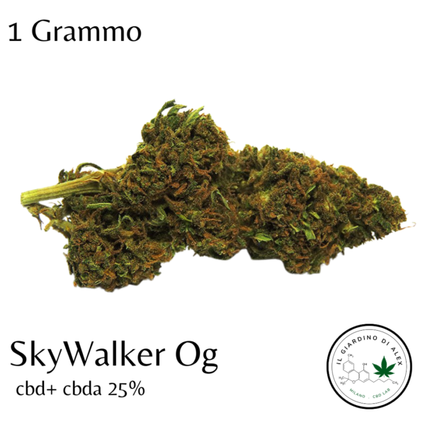 Cannabis Light SkyWalker Og - immagine 5