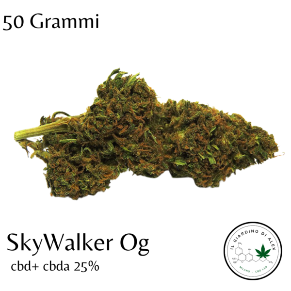 Cannabis Light SkyWalker Og - immagine 2