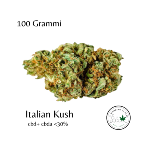 Cannabis Light Italian Kush - 100gr