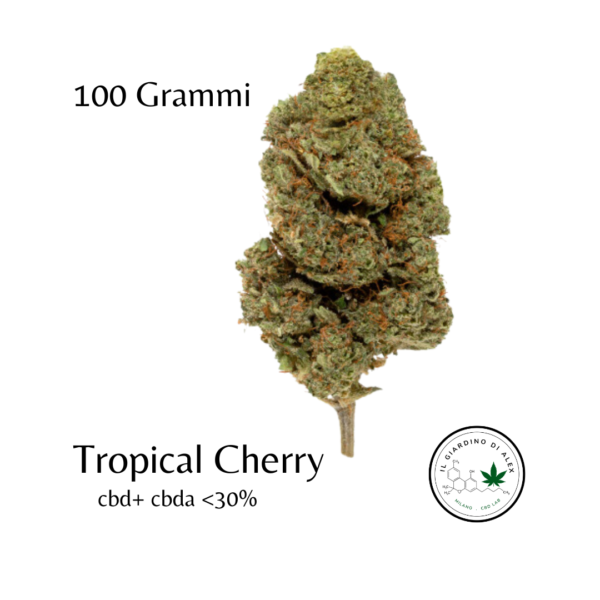 Cannabis Light Tropical Cherry - immagine 6