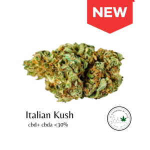 Cannabis Light Italian Kush