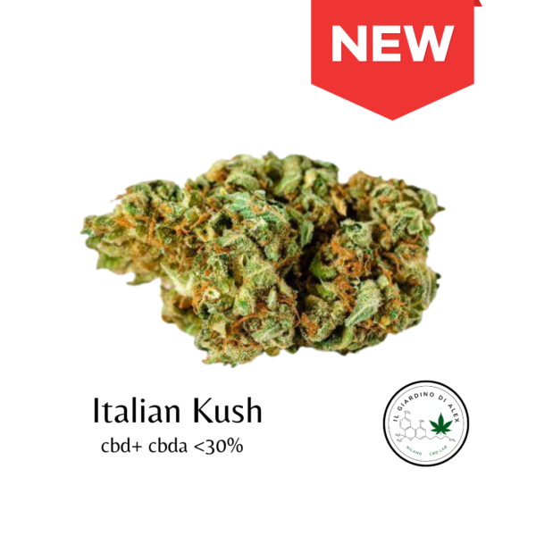Cannabis Light Italian Kush