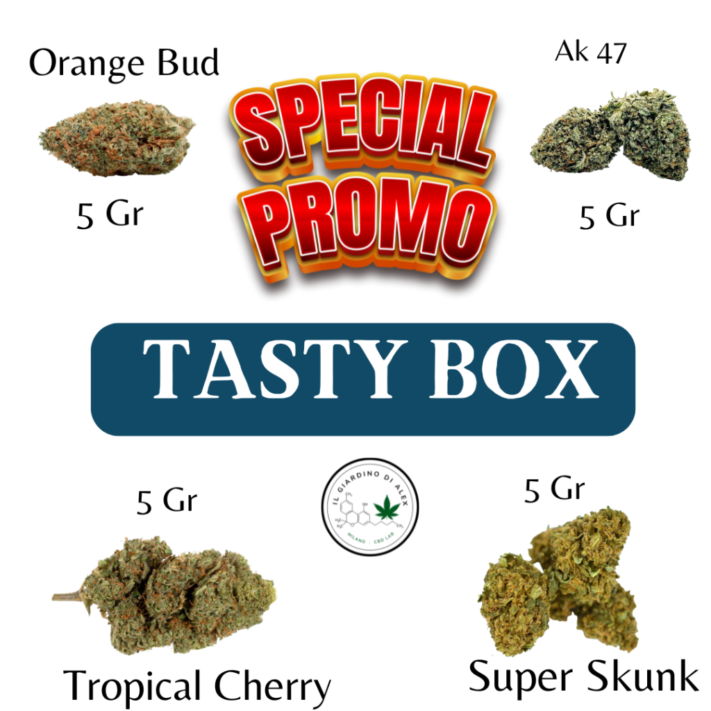 https://www.ilgiardinodialex.shop/scopri-la-tasty-box-da-20-grammi-unesperienza-di-gusto-e-benessere/