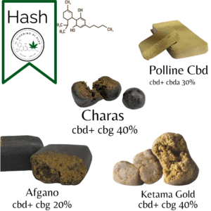 BOX HASH – Selezione Premium Il Giardino di Alex